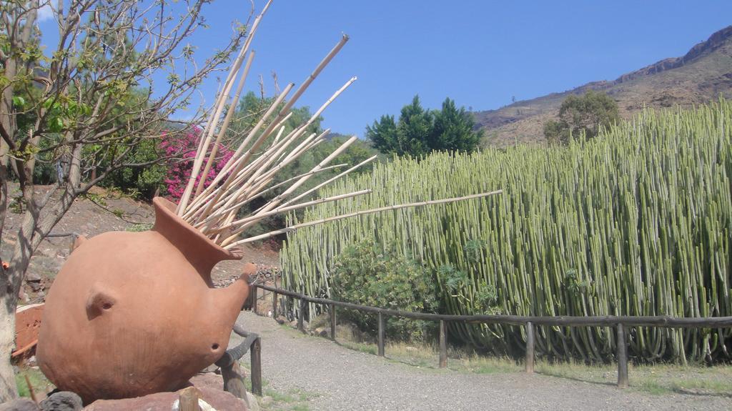 Holiday home Casa El Pino *
